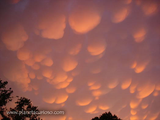 Nube Curiosa