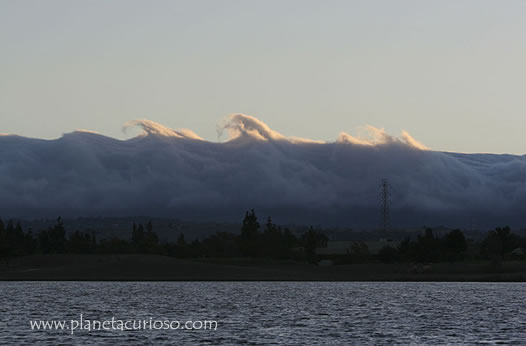 Nube Curiosa