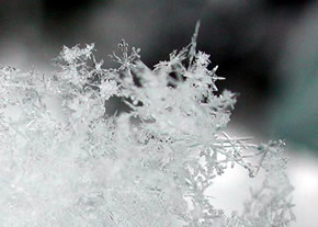Piscina realimentación Tormenta Cómo se forma la nieve que cae durante el Invierno? - Planeta Curioso