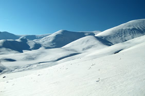 Nieve Blanca