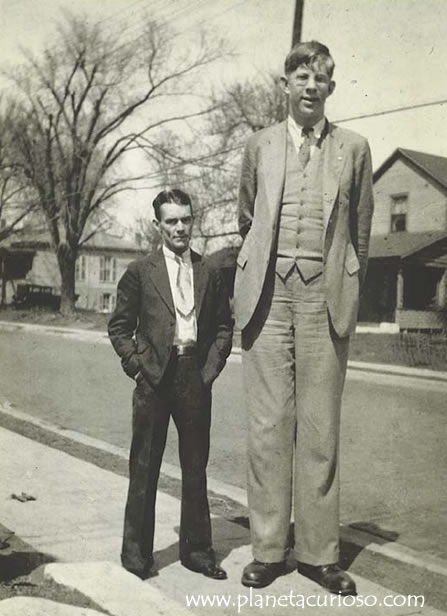 Robert Wadlow