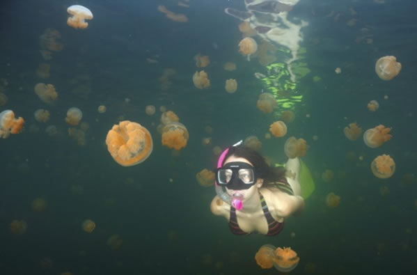 lago-medusas-10-millones