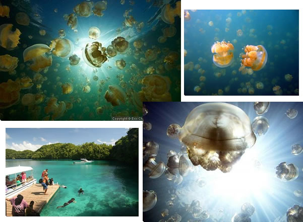 lago-medusas-10-millones3
