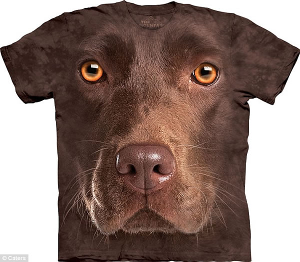 Autenticación entusiasta Correa EL ANIMAL INVISIBLE: camisetas de animales en 3D