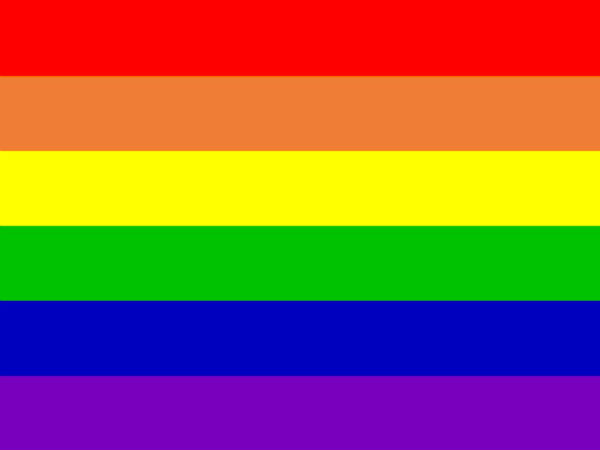 La Bandera Gay 71
