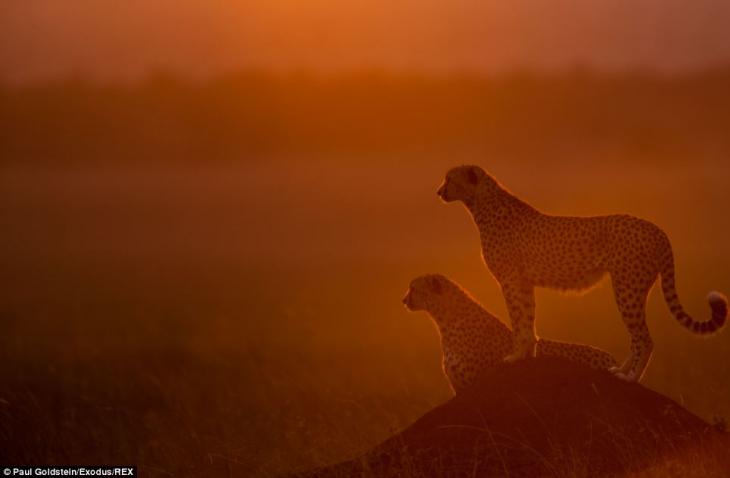 [Imagen: africa-amanecer-atardecer-10.jpg]