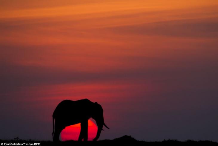 africa-amanecer-atardecer-11