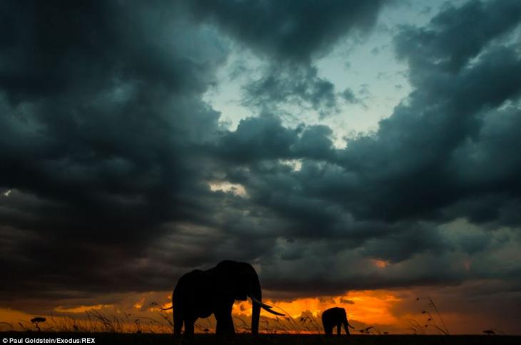 [Imagen: africa-amanecer-atardecer-4.jpg]