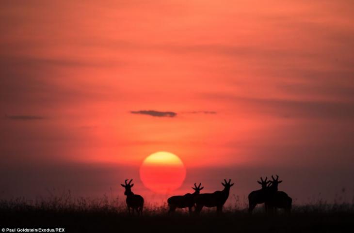 africa-amanecer-atardecer-8