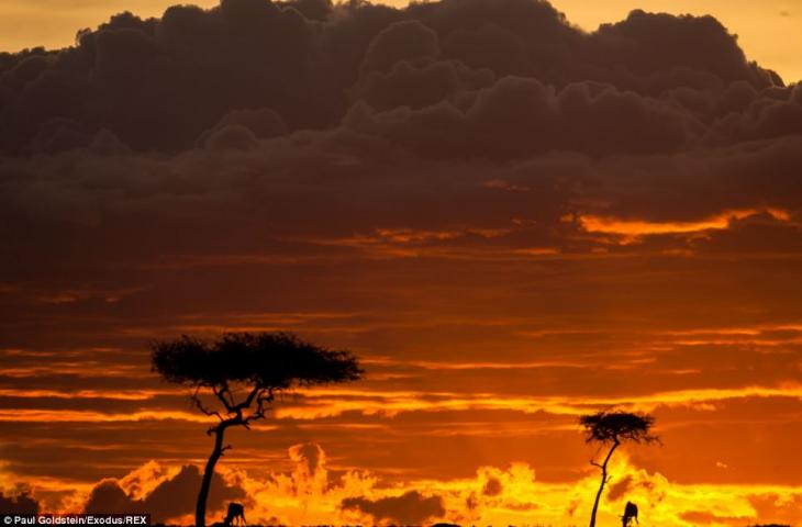 africa-amanecer-atardecer-9
