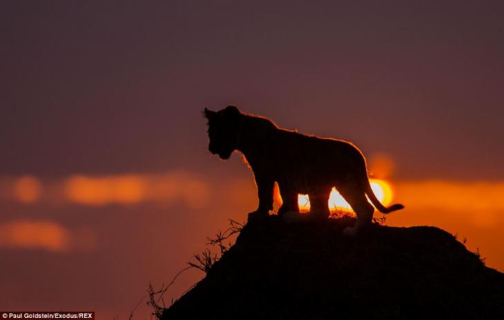 africa-amanecer-atardecer