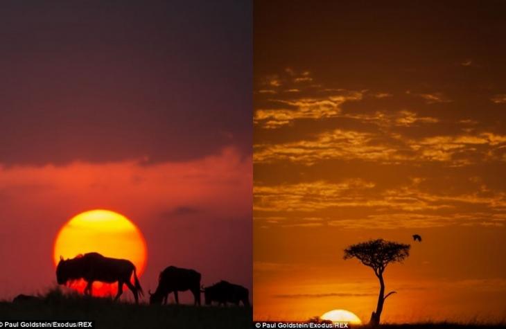 africa-amanecer-atardecer12