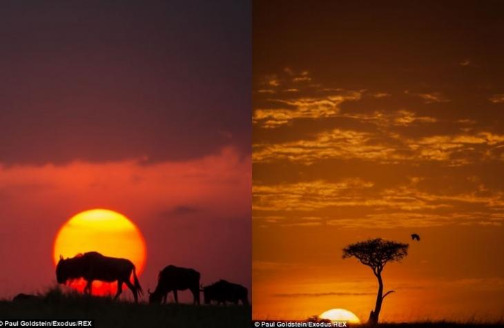 [Imagen: africa-amanecer-atardecer12.jpg]