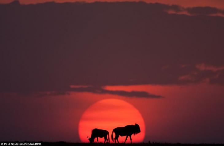 africa-amanecer-atardecer6
