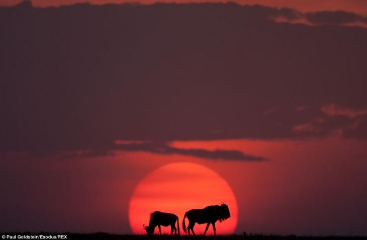 [Imagen: africa-amanecer-atardecer6.jpg]