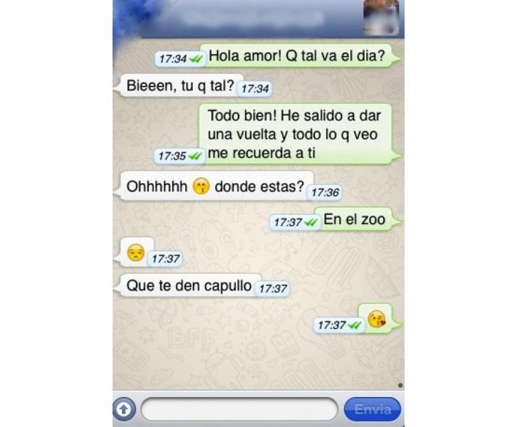 whatsapp7