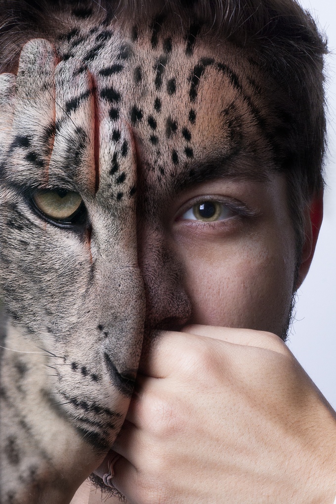 animales-cautiverio-1