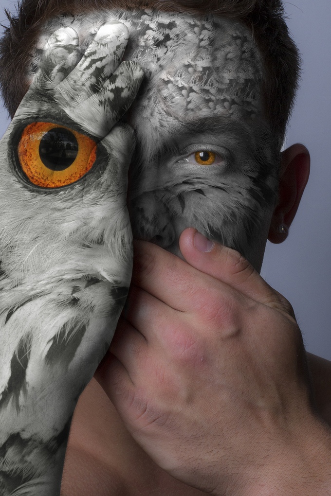 animales-cautiverio-3