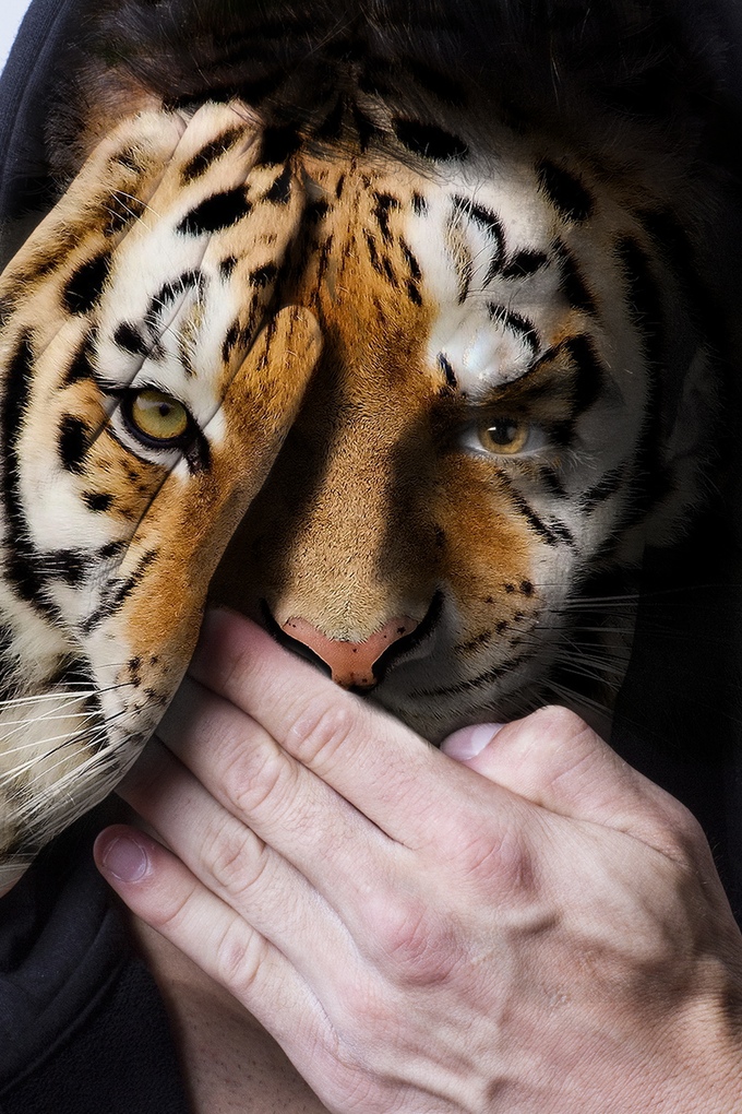 animales-cautiverio-4