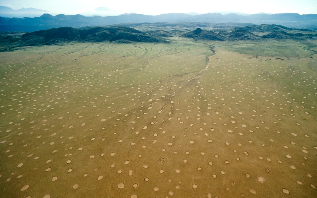 circulos-hadas-namibia-misterio-2