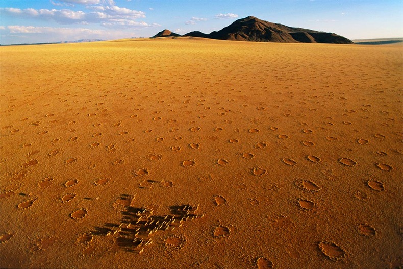 circulos-hadas-namibia-misterio-5