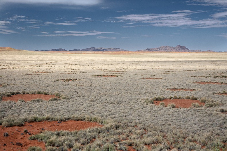 circulos-hadas-namibia-misterio-6