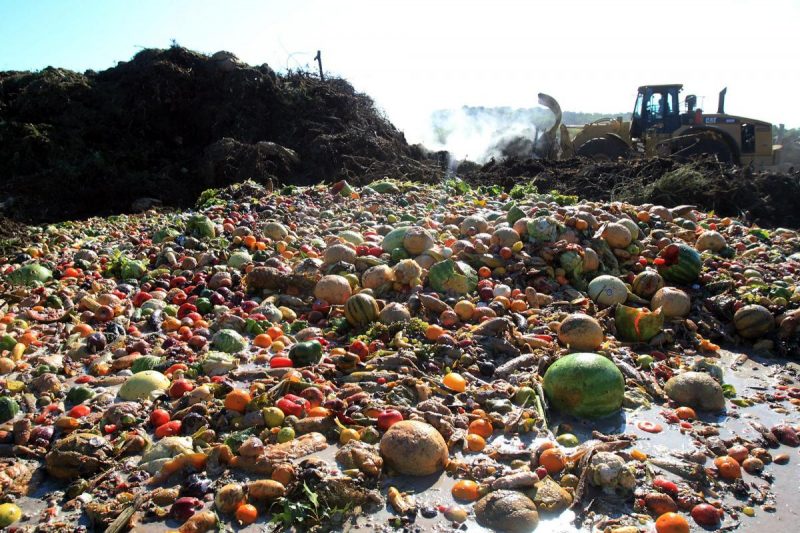 Curiosidades de los alimentos