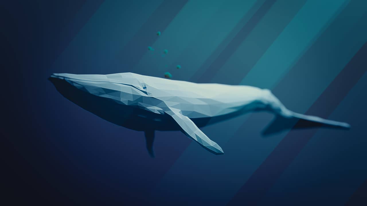 La ballena es el animal más grande del mundo
