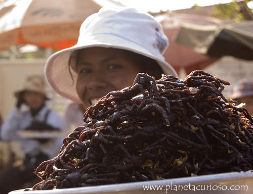tarantulas-fritas-camboya