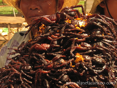 tarantulas-fritas-camboya2