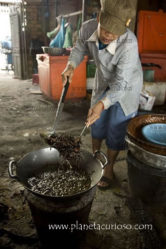 tarantulas-fritas-camboya6