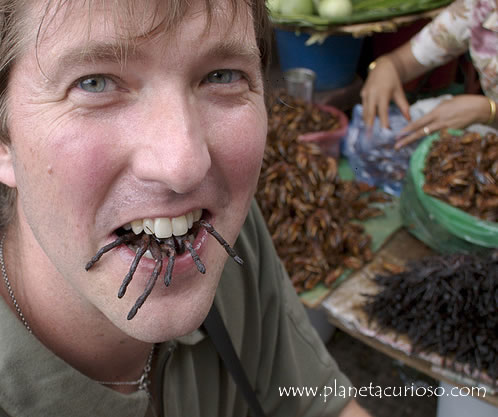 tarantulas-fritas-camboya8