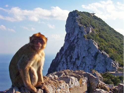 mono-penon-gibraltar2.jpg