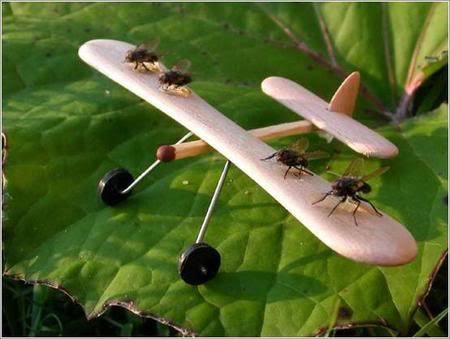aviones-propulsados-moscas