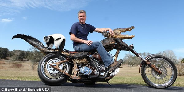 moto-cocodrilo moto-cocodrilo