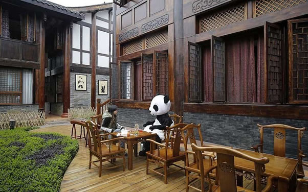 hotel-panda-china-fotos