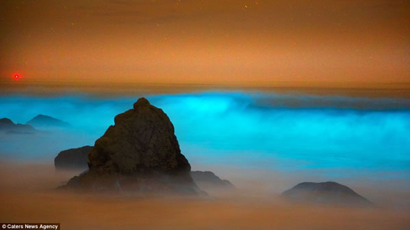 olas-azules-fluorescentes-california