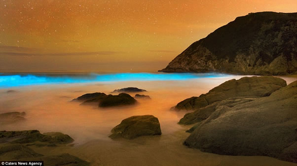 olas-azules-fluorescentes-california2