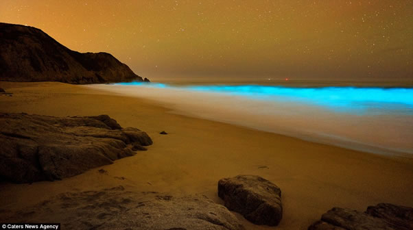 olas-azules-fluorescentes-california3