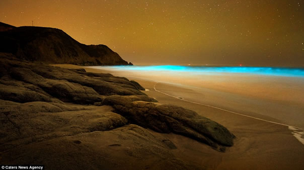 olas-azules-fluorescentes-california4