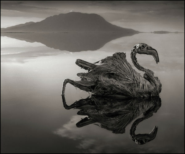 lago-natron7