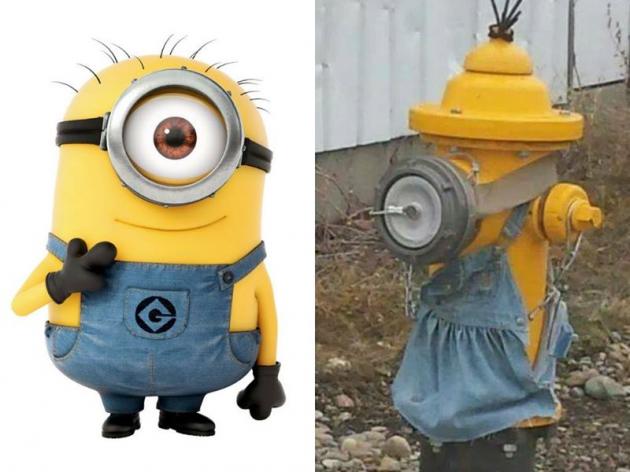 minion-fotos