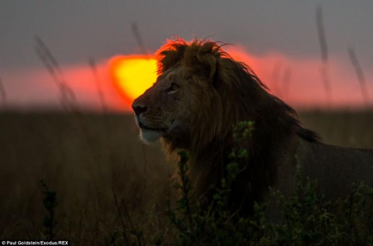 africa-amanecer-atardecer-3