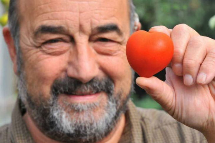 tomate-corazon
