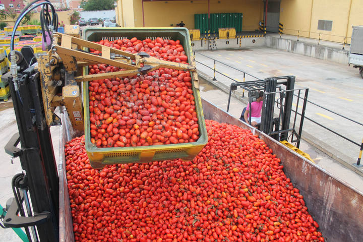 tomatina-camiones