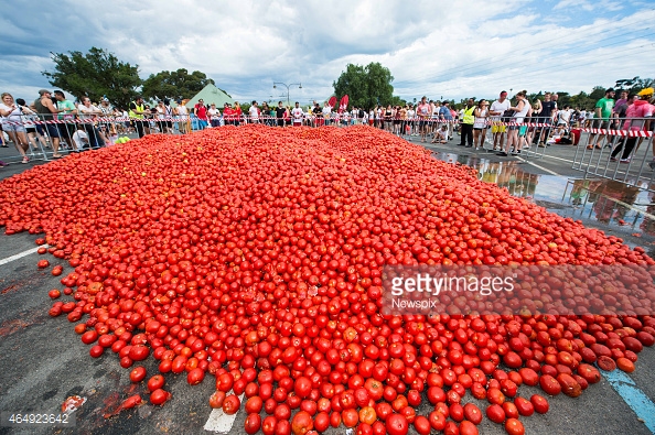 tomatina-desperdicio