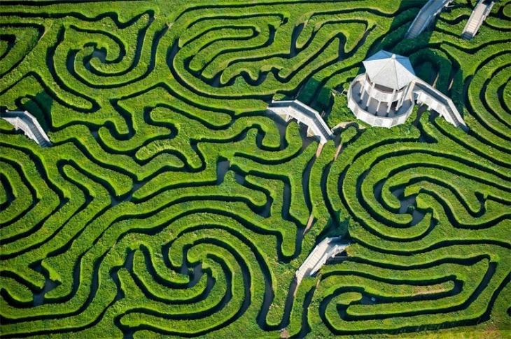 longleat-hedge-maze-8[6]