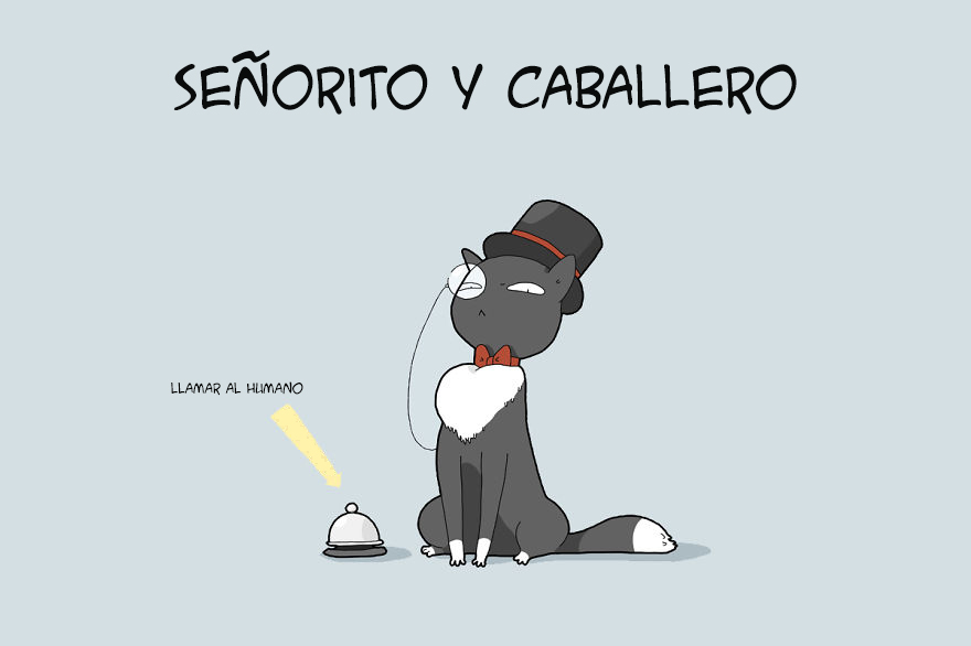 ilustraciones-tipos-gatos-lingvistov-caballero