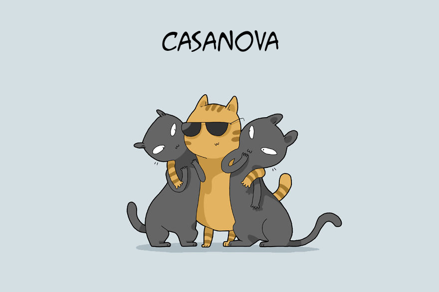 ilustraciones-tipos-gatos-lingvistov-casa-nova