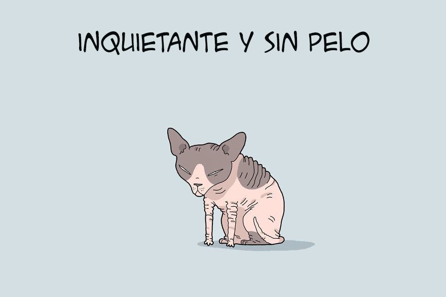 ilustraciones-tipos-gatos-lingvistov-inquietante